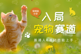 普通人入局宠物赛道，0基础也能上手的保姆级分享