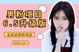 男粉项目6.5升级版，全自动男粉项目，日收入1K+