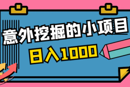 搞钱分享：意外挖掘出日入1000的小项目变现复盘【图文】