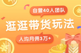 逛逛带货玩法教程，自营40人团队，人均月佣3万+
