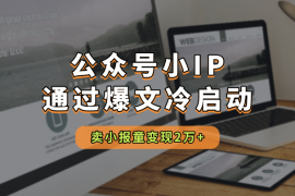 公众号小IP如何通过爆文冷启动，卖小报童，变现2万+