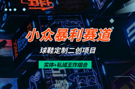 小众暴利赛道(球鞋定制，二创项目)实体+私域2025王炸组合