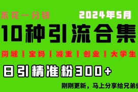 每天搞300+“同城、宝妈、减重、创业、大学生”等10大流量！