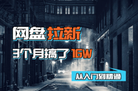 网盘拉新项目，从入门到精通，靠网盘拉新3个多月搞了16W