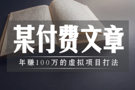 某付费文【年赚100万的虚拟项目打法】全文5000多字，没有一句废话