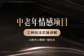 视频号中老年情感项目，三个不同视频玩法AI一键生成