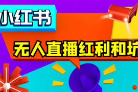 卖了五十多万，我来一次性说清小红书无人直播红利和坑【图文】