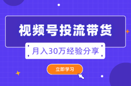 一手白牌又怎样？视频号投流带货月入30万【图文】