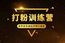打粉训练营，全平台引流，打造差异化朋友圈，拉开同行差距