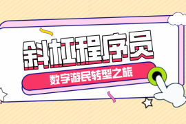 渐入佳境：斜杠程序员的数字游民转型之旅【图文】