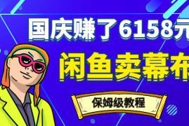 闲鱼幕布垂直店铺，国庆7天赚了6158元【图文】