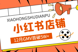 跌跌撞撞，12月小红书店铺GMV首破5W+【图文】