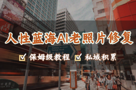 人性蓝海AI老照片修复项目保姆级教程，私域积累型项目