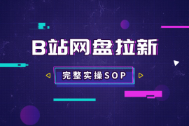 B站掘金之网盘拉新，作品制作、引流、变现全套SOP