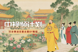 中视频计划历史赛道BY技术，双重去重百分百过原创