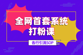 全网首套系统打粉课，手把手各行引流SOP