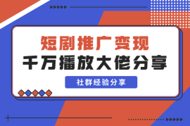千万播放大佬分享短剧经验，带你玩转短剧推广变现