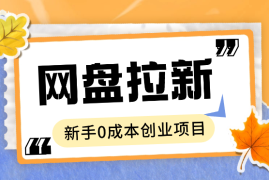 网盘拉新实现半自动化躺赚，拆解2024年最适合新手的0成本创业项目【图文】