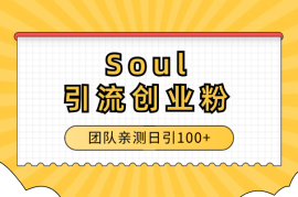 Soul引流创业粉，目前团队亲测日引100+【图文】