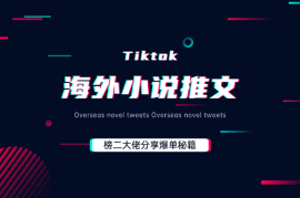 海外tiktok小说推文榜二大佬分享爆单秘籍
