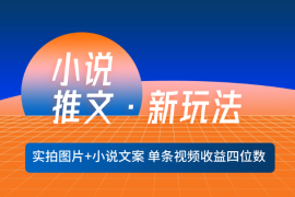小说推文新玩法，实拍图片+小说文案，单条视频收益四位数