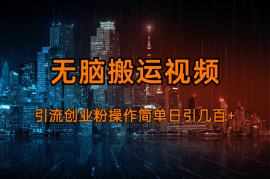 无脑搬运视频引流创业粉，玩法操作简单日引几百+