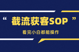 截流获客方法论SOP，看完小白都能操作