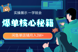 闲鱼单店铺月入3W+实操展示，爆单核心秘籍，一学就会