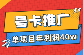 号卡推广，单一项目一人操作40w年利润【图文】