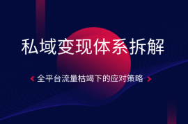 私域变现体系拆解，全平台流量枯竭下的应对策略