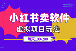 小红书店铺虚拟项目玩法，软件赛道每天变现100-200【图文】