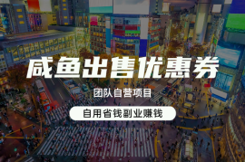 咸鱼出售优惠券，团队自营项目，自用省钱副业赚钱，保姆教程