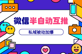 微信半自动互推，私域被动加爆，适合新手