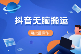 抖音无脑搬运，如果这项目都拿不到结果，你可以退网了