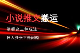 小说推文搬运详解，掌握这三种玩法，日入多张不是问题