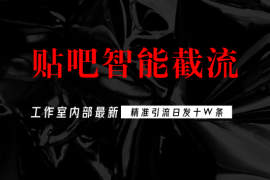 工作室内部最新贴吧智能截流，独家防封精准引流日发十W条