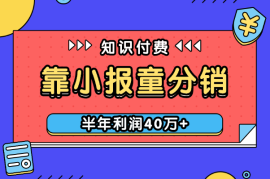 靠小报童+分销知识课程，半年收入百万，利润40万+【图文】