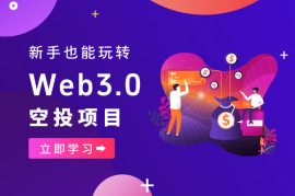 单号利润5500左右，新手也能玩转的web3空投项目
