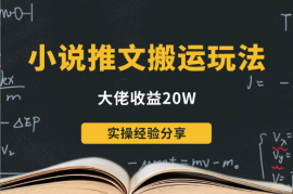 小说推文视频搬运玩法大佬收益20W实操经验分享