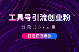 工具号引流创业粉，分段式BY去重，打造百万爆款