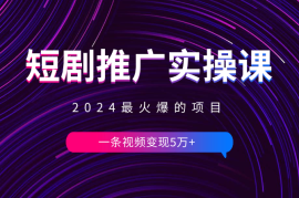 2024最火爆的项目短剧推广实操课 一条视频变现5万+