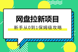 网盘拉新项目，新手如何从0到1，保姆级攻略