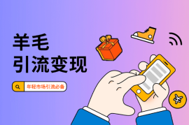 羊毛信息引流变现全玩法，年轻市场引流必备