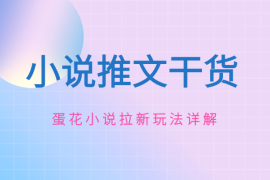 小说推文推广干货—蛋花小说拉新玩法详解