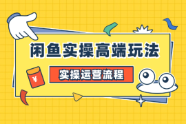 闲鱼实操高端玩法，月入过万闲鱼实操运营流程