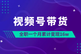新手做视频号带货，全职一个月变现16w【图文】