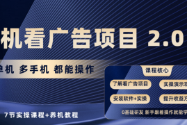 手机看广告项目2.0，单机收益30+，提现秒到账可矩阵操作