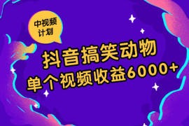 抖音搞笑动物副业项目，中视频收益6000+，实操玩法分享【图文】