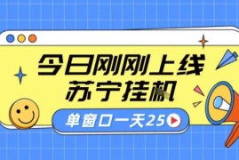 苏宁全自动采集挂G项目 稳定可批量 单窗口收益30+ 附教程【揭秘】
