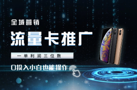 全域流量卡推广，一单利润三位数，0投入，小白也能操作